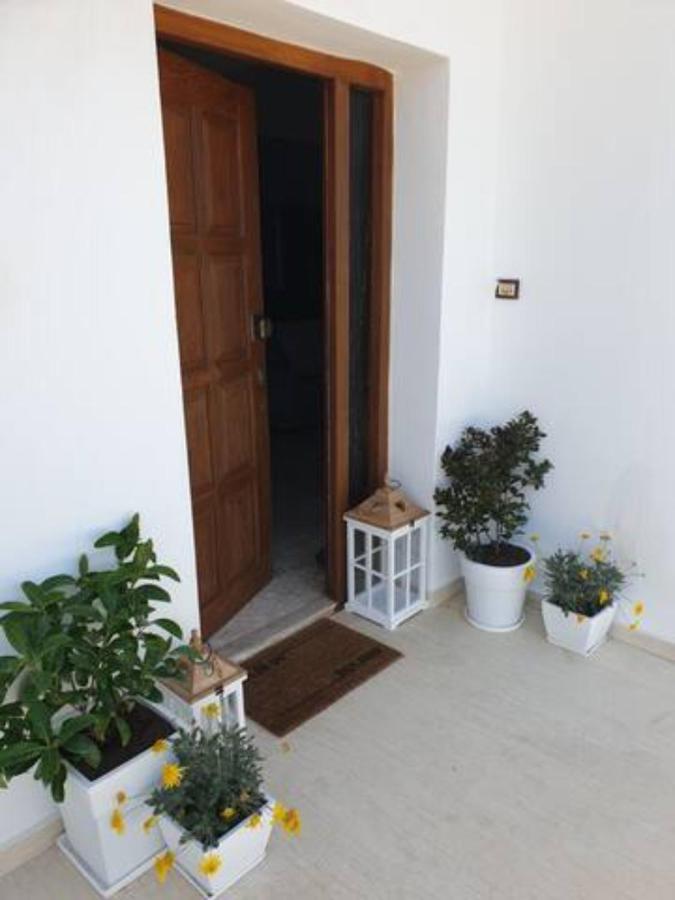 Palaikastro Holiday Apartment 사이티아 외부 사진